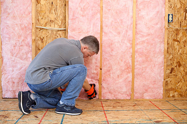Best Insulation for Specific Applications in Kaaawa, HI